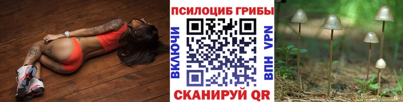 Галлюциногенные грибы мицелий  Купить закладки  Кизел 