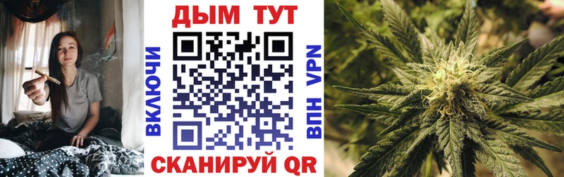 Купить  Кизел  Бошки Шишки White Widow 